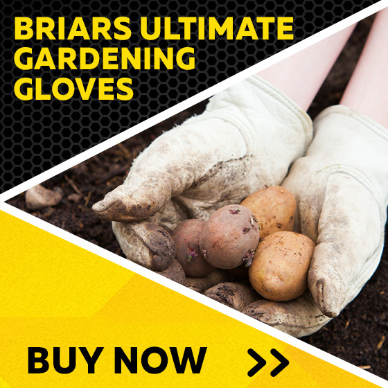 Briers All Seasons Gardening Gloves 