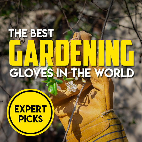 Find the Best Gardening Gloves Today