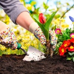 How to Find Your Perfect Gardening Glove