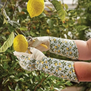 Briers Sicilian Lemon Garden Gauntlets