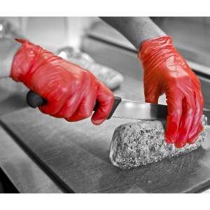 Shield2 GD17 Powder-Free Vinyl Red Disposable Gloves