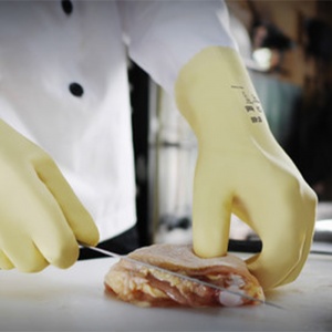 Ansell AlphaTec 87-600 Ultra-Thin Chemical-Resistant Gloves