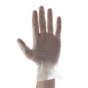 Aurelia Delight PF Medical Grade Vinyl Gloves 3822